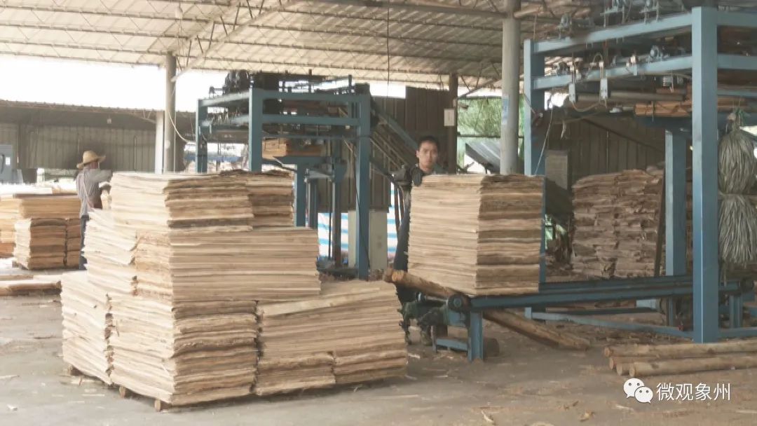来宾市人大常委会调研组到象州调研木材加工产业
